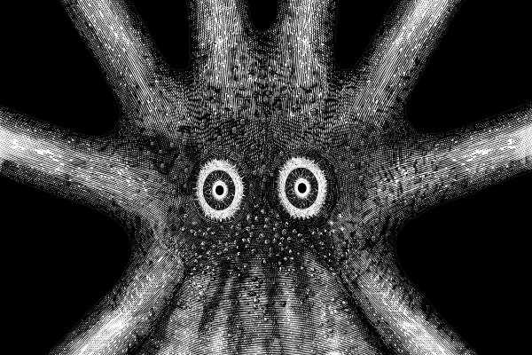 Kraken marketplace
