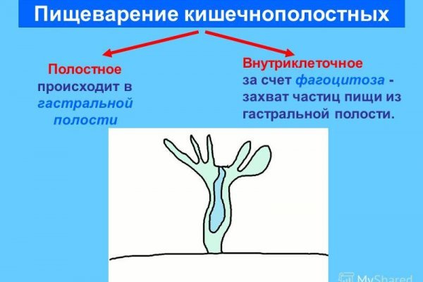 Как восстановить аккаунт на кракене даркнет